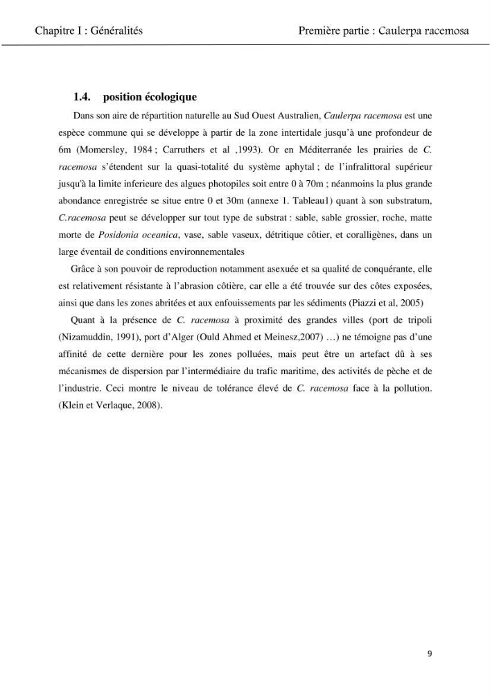 Etude d\'une chlorobionte caulerpale