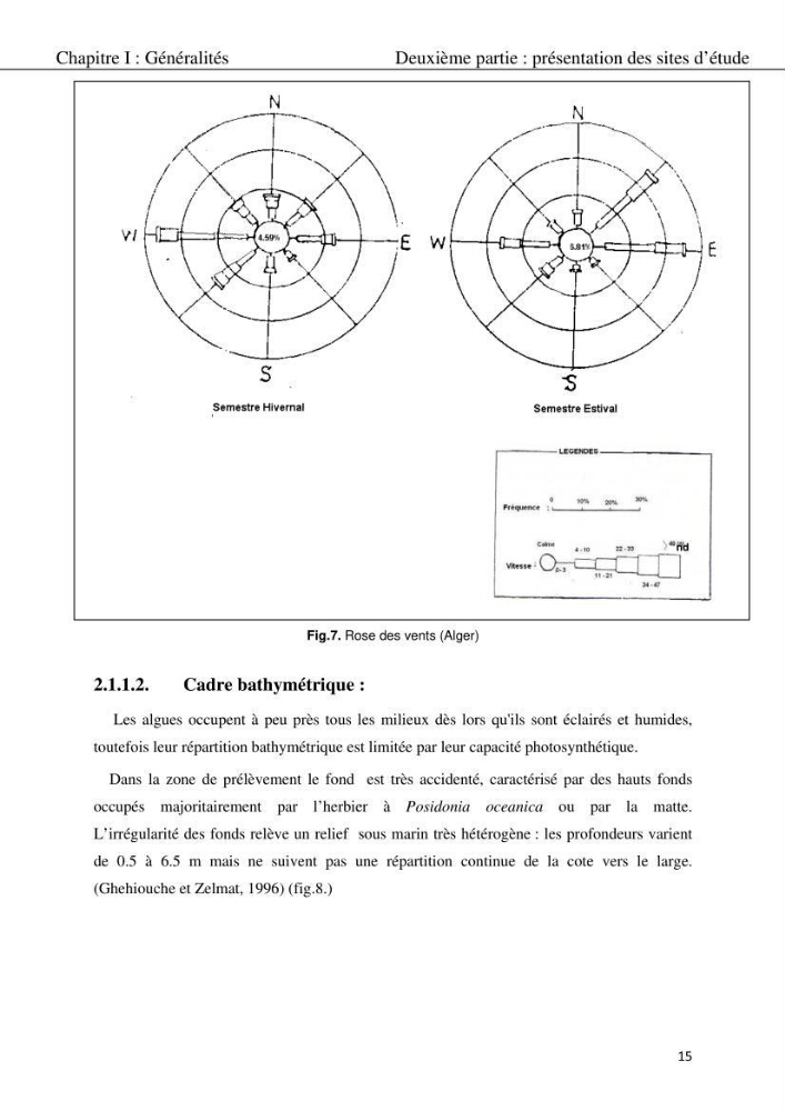 Etude d\'une chlorobionte caulerpale