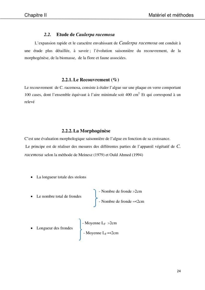 Etude d\'une chlorobionte caulerpale