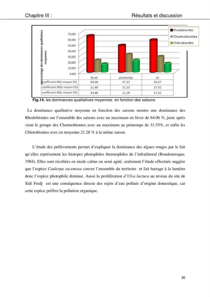 Etude d\'une chlorobionte caulerpale