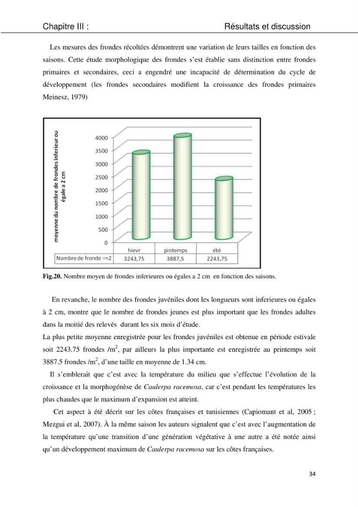 Etude d\'une chlorobionte caulerpale