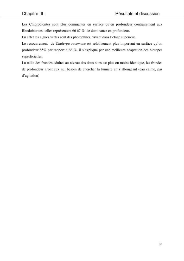 Etude d\'une chlorobionte caulerpale