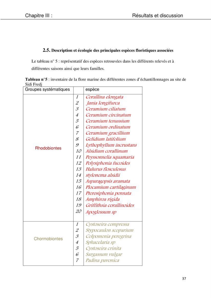 Etude d\'une chlorobionte caulerpale