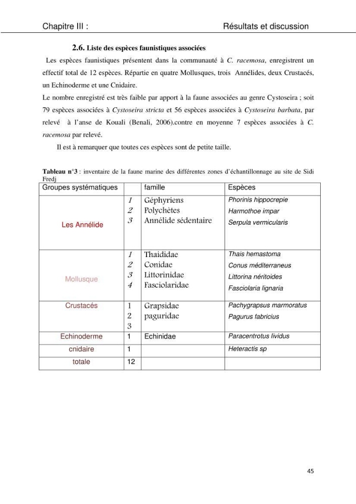 Etude d\'une chlorobionte caulerpale