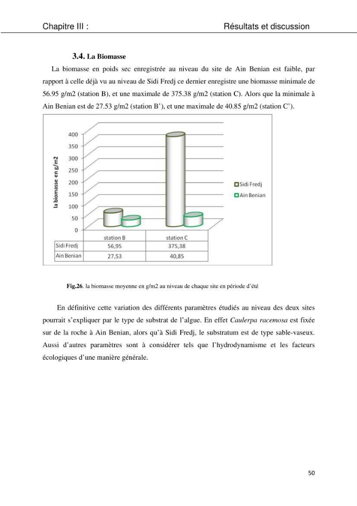 Etude d\'une chlorobionte caulerpale