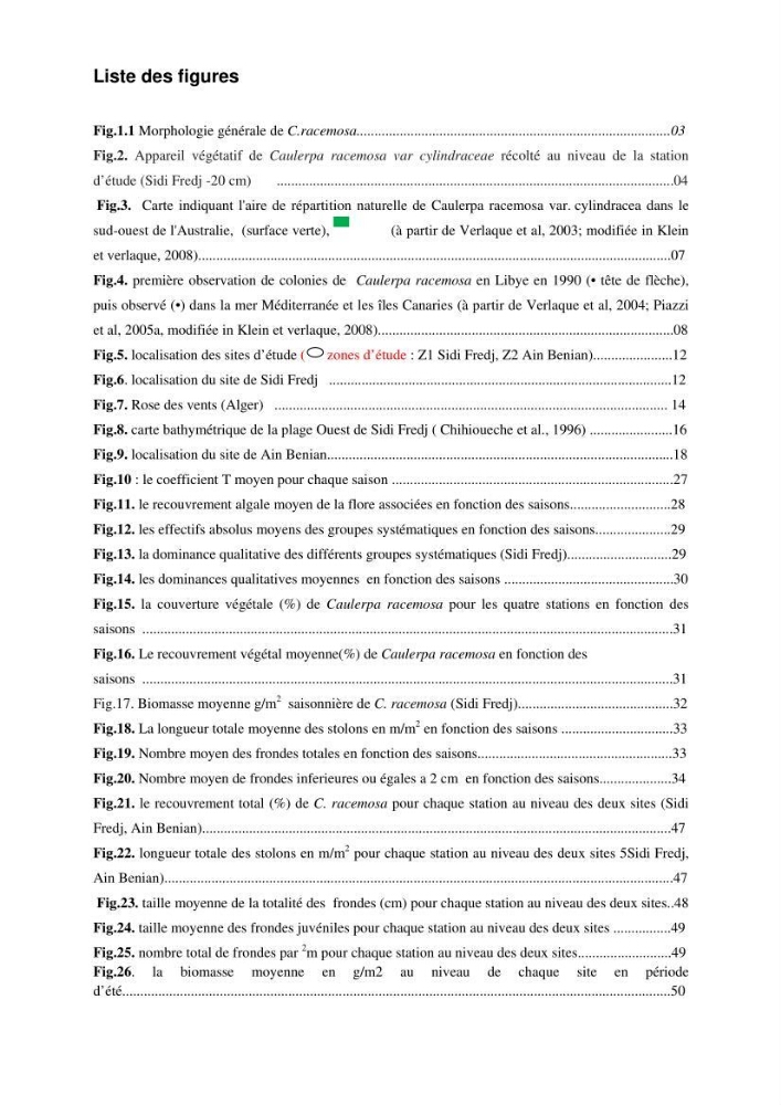 Etude d\'une chlorobionte caulerpale