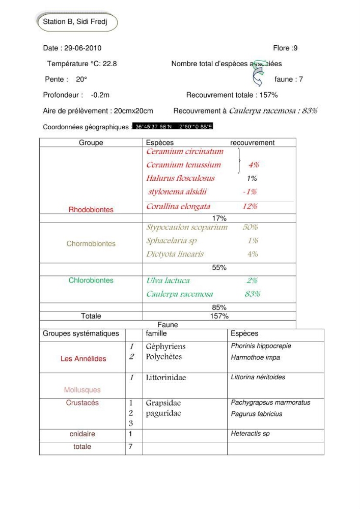 Etude d\'une chlorobionte caulerpale