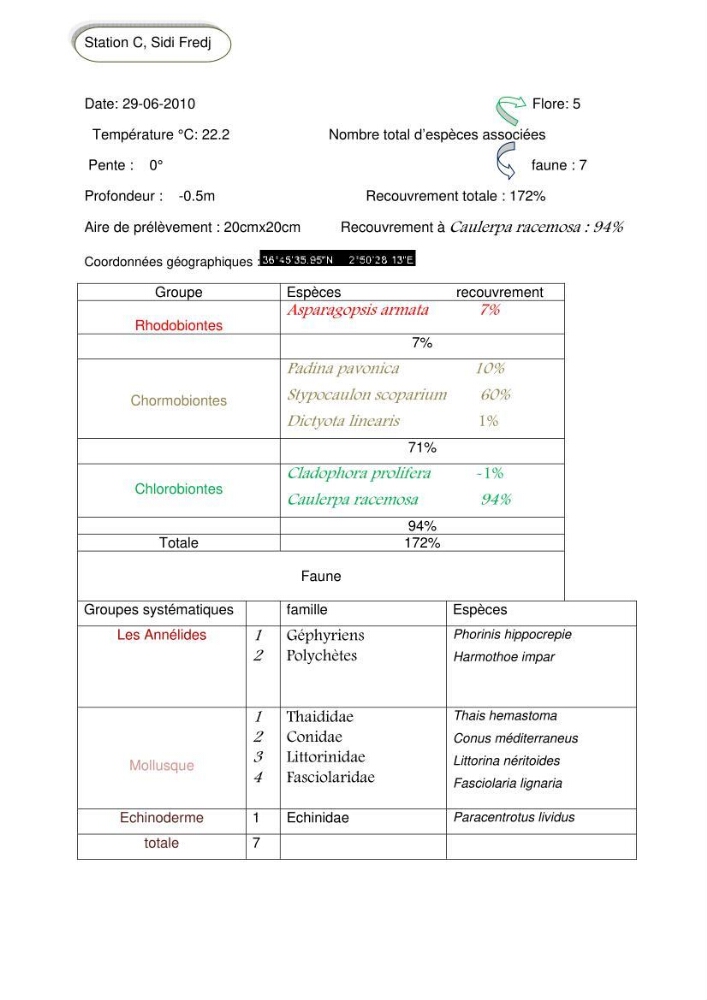 Etude d\'une chlorobionte caulerpale