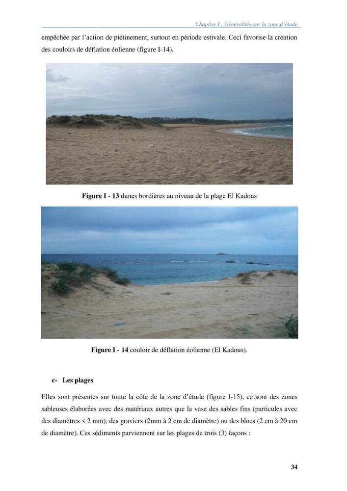 Vulnérabilités du littoral aux risques côtiers dans la baie de Zemmouri