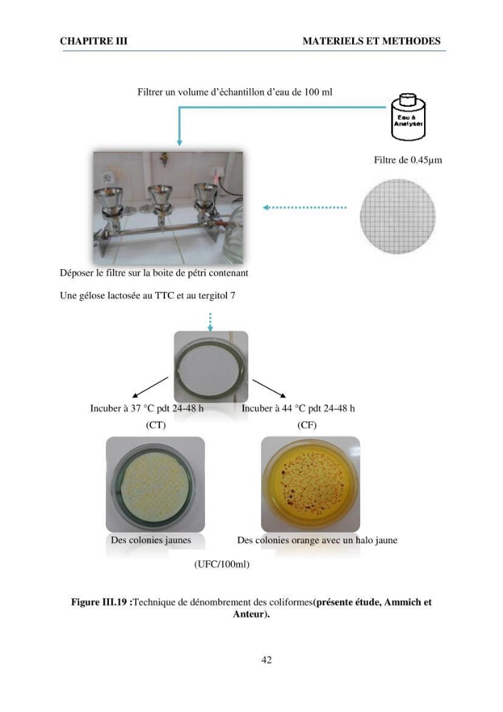 Qualité physico-chimique et bactériologique des eaux littorales : Ain Benian-Bab El Oued (Wilaya d’Alger)