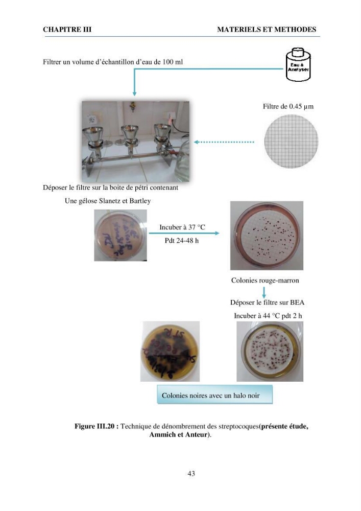 Qualité physico-chimique et bactériologique des eaux littorales : Ain Benian-Bab El Oued (Wilaya d’Alger)