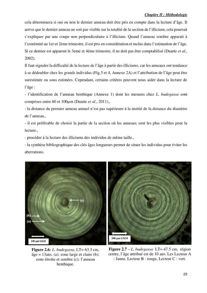 Contribution à la systématique des Lophiidae dans le bassin algerien,croissance et exploitation de la boudroie rouse Lophius budegassa ( Spinola,1807) de la région centre algérienne:
