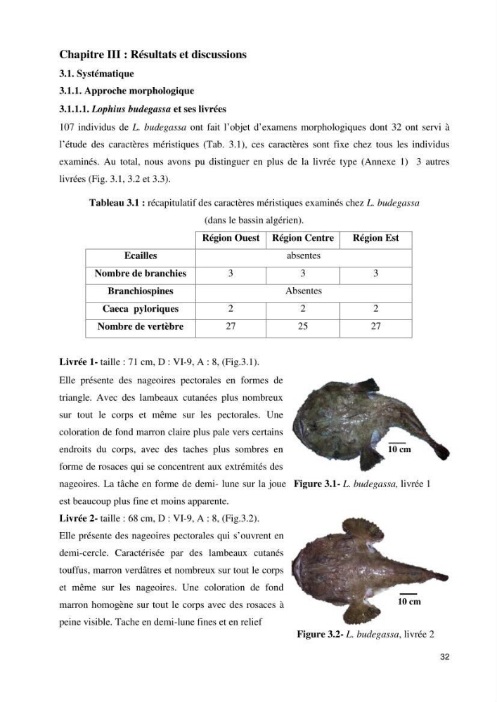 Contribution à la systématique des Lophiidae dans le bassin algerien,croissance et exploitation de la boudroie rouse Lophius budegassa ( Spinola,1807) de la région centre algérienne: