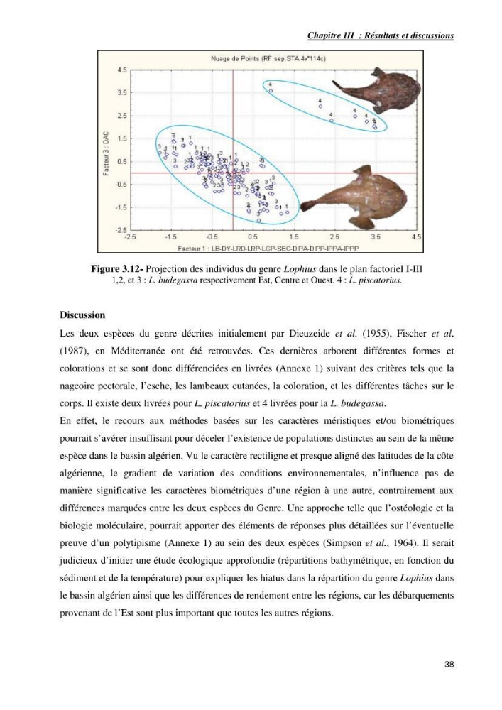 Contribution à la systématique des Lophiidae dans le bassin algerien,croissance et exploitation de la boudroie rouse Lophius budegassa ( Spinola,1807) de la région centre algérienne: