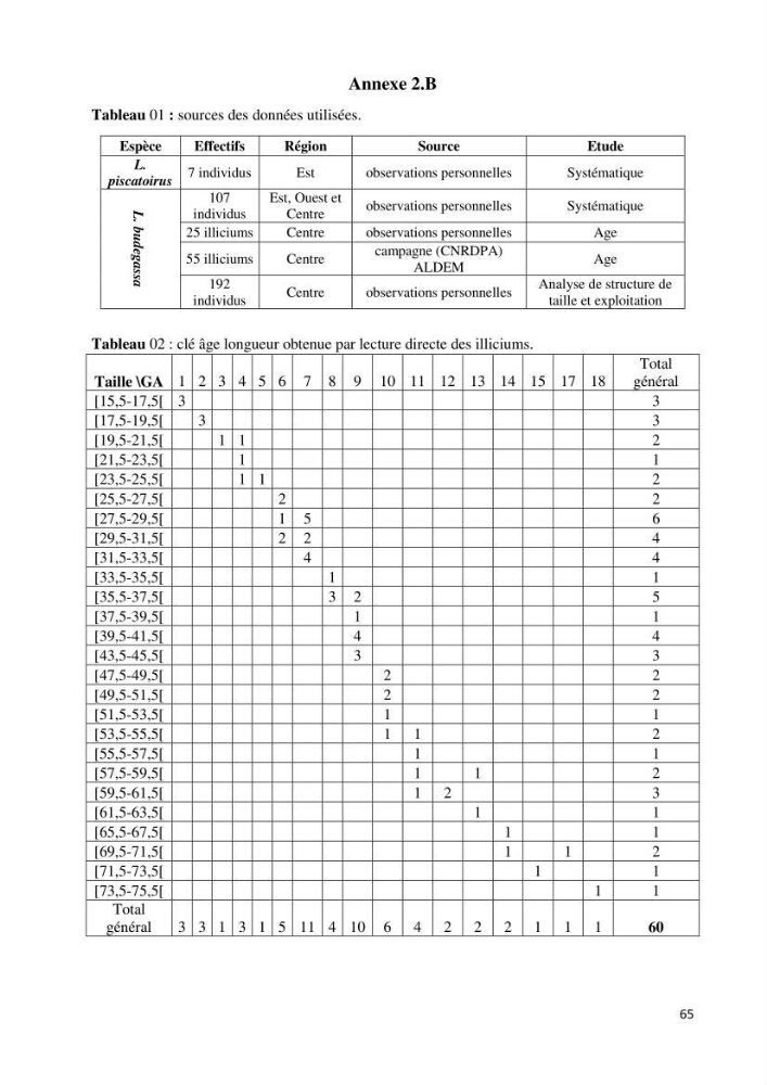 Contribution à la systématique des Lophiidae dans le bassin algerien,croissance et exploitation de la boudroie rouse Lophius budegassa ( Spinola,1807) de la région centre algérienne:
