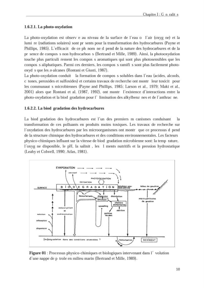 Les hydrocarbures poly aromatiques dans la baie de Bou-Ismail : surveillance et évolution de la contamination en fonction de la profondeur