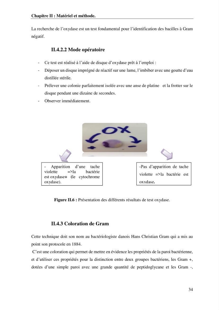 Les effets des paramètres physicochimiques sur l\'activité des bactéries marines hydrocarbonoclastes: