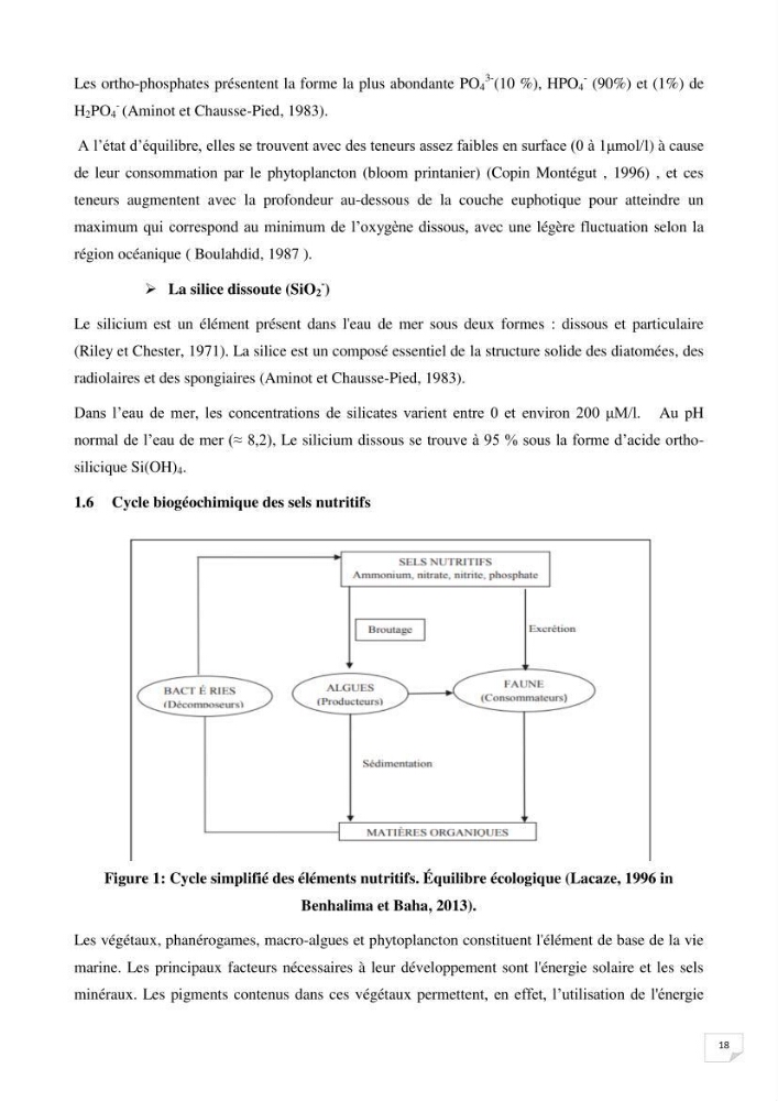 Suivi des paramètres physico-chimique et des sels nutritifs dans la baie de Bou Ismail:
