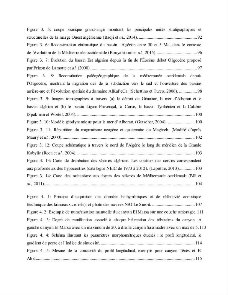 Evaluation géomorphologique de la marge continentale Ouest Algérienne (Oran - Ténés )
