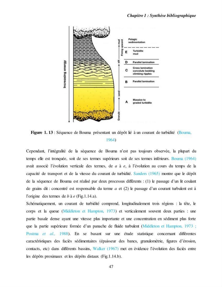 Evaluation géomorphologique de la marge continentale Ouest Algérienne (Oran - Ténés )