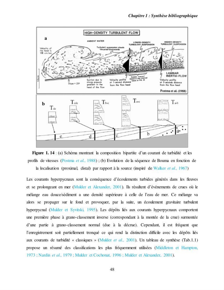 Evaluation géomorphologique de la marge continentale Ouest Algérienne (Oran - Ténés )