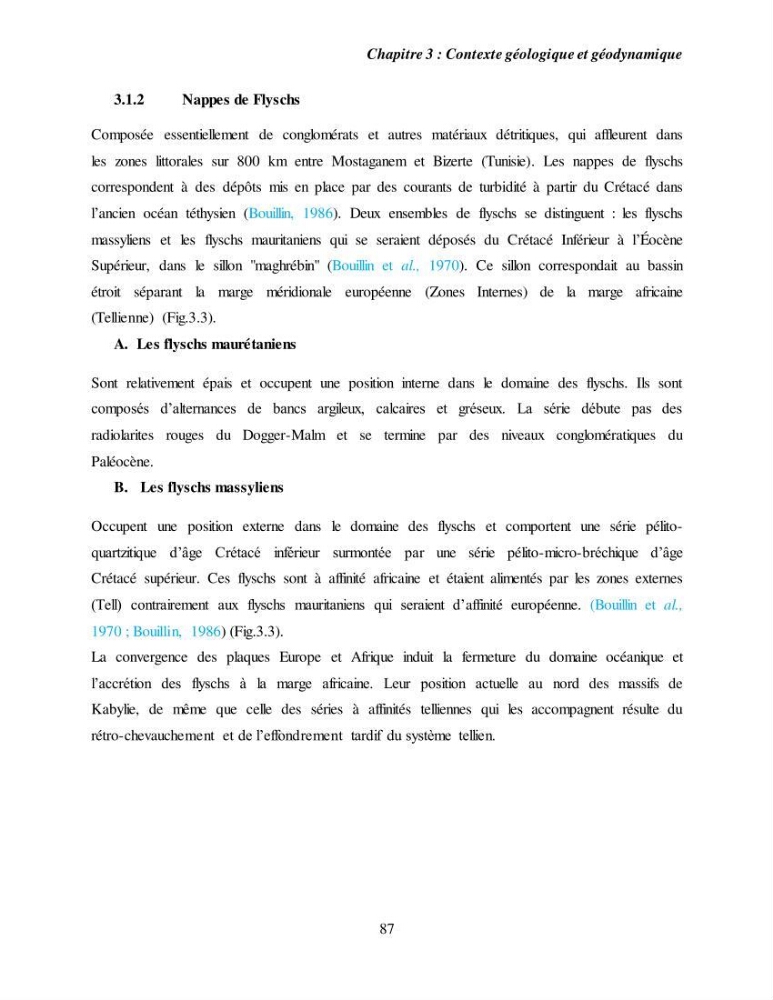 Evaluation géomorphologique de la marge continentale Ouest Algérienne (Oran - Ténés )