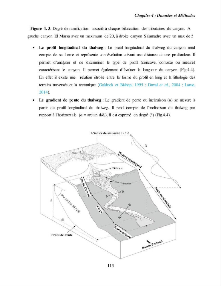 Evaluation géomorphologique de la marge continentale Ouest Algérienne (Oran - Ténés )