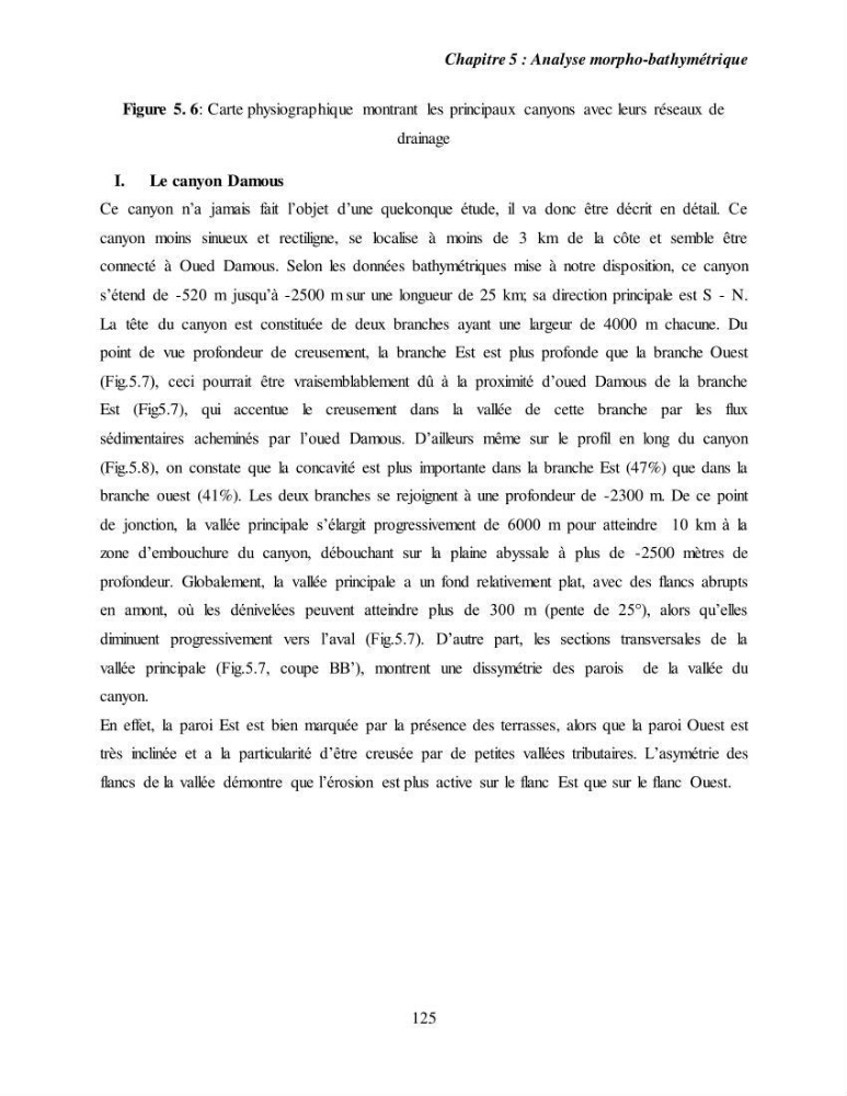 Evaluation géomorphologique de la marge continentale Ouest Algérienne (Oran - Ténés )