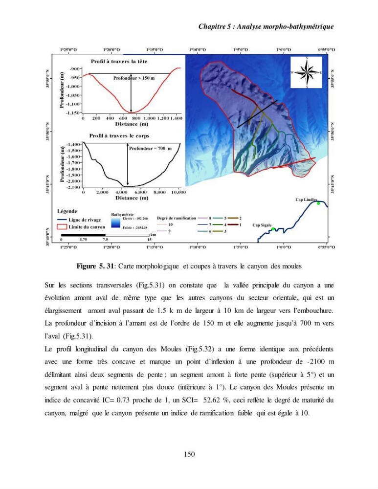 Evaluation géomorphologique de la marge continentale Ouest Algérienne (Oran - Ténés )