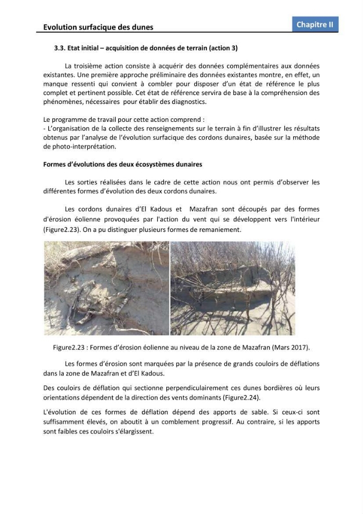 Etude des écosystèmes dunaires algérois : études comparative entre les deux ensembles dunaires du Mazafran et d\'EL Kadous