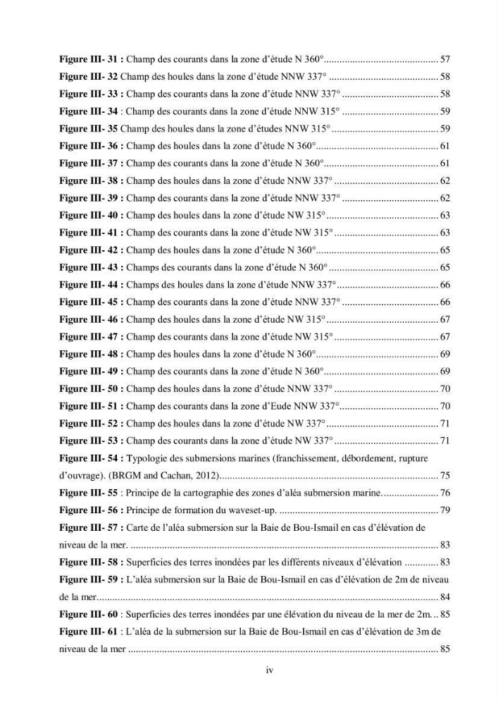 Etude de la vulnérabilité de la région de Bou-Ismail: recours à la modélisation pour l\'étude de la submersion marine