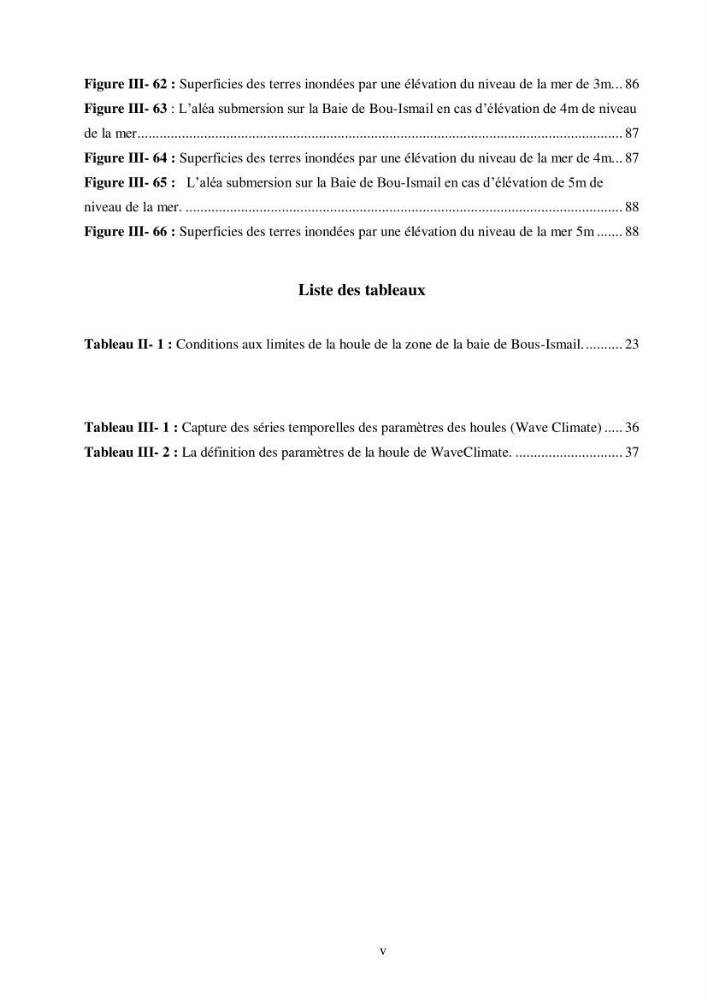 Etude de la vulnérabilité de la région de Bou-Ismail: recours à la modélisation pour l\'étude de la submersion marine