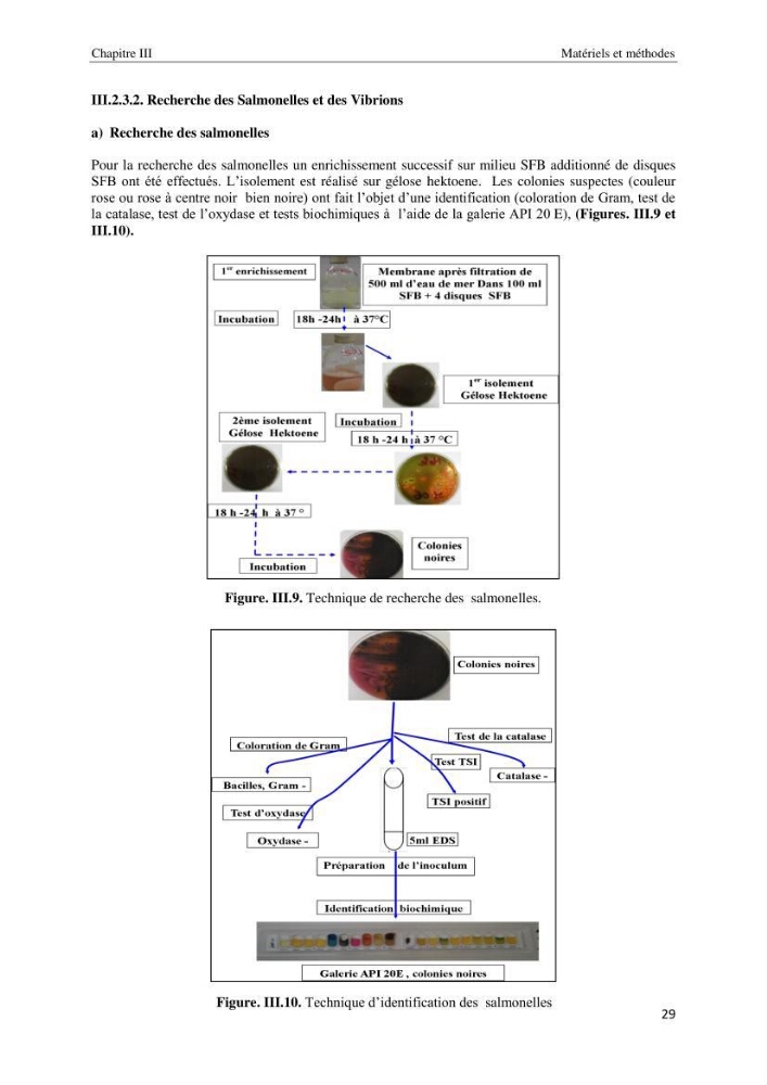Diagnostic et paramètre environnementaux du littoral ouest de Sidi Fredj