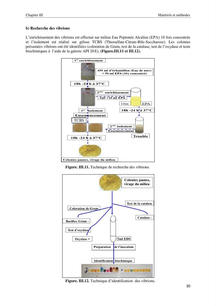 Diagnostic et paramètre environnementaux du littoral ouest de Sidi Fredj