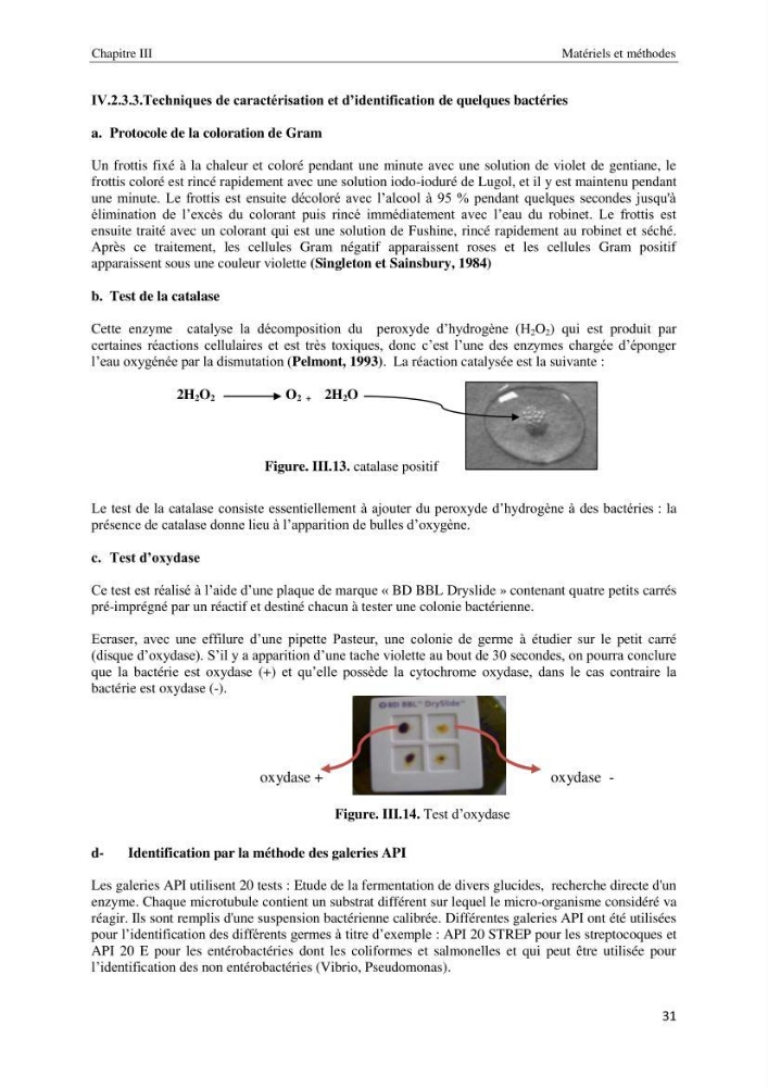 Diagnostic et paramètre environnementaux du littoral ouest de Sidi Fredj