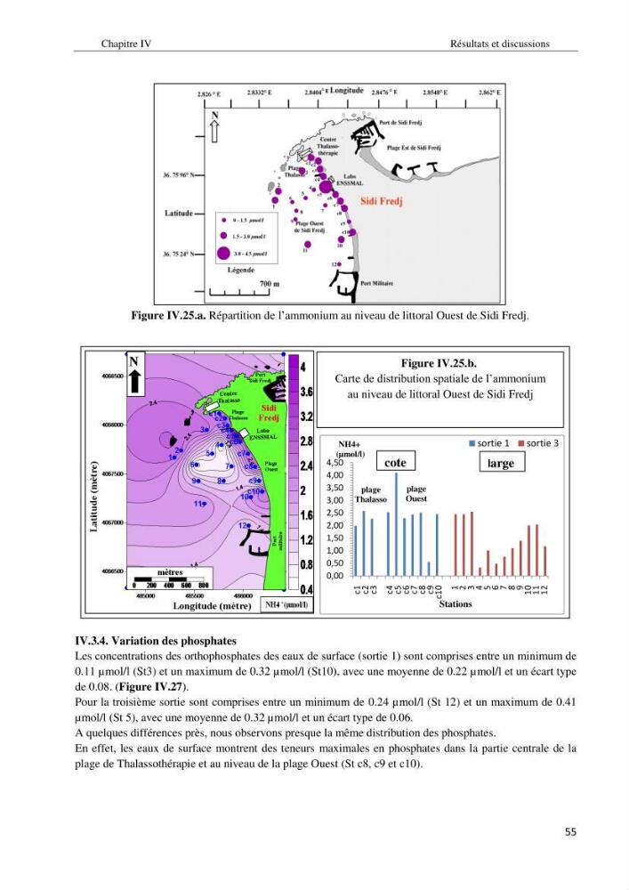 Diagnostic et paramètre environnementaux du littoral ouest de Sidi Fredj