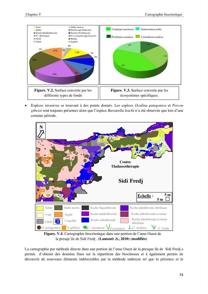 Diagnostic et paramètre environnementaux du littoral ouest de Sidi Fredj