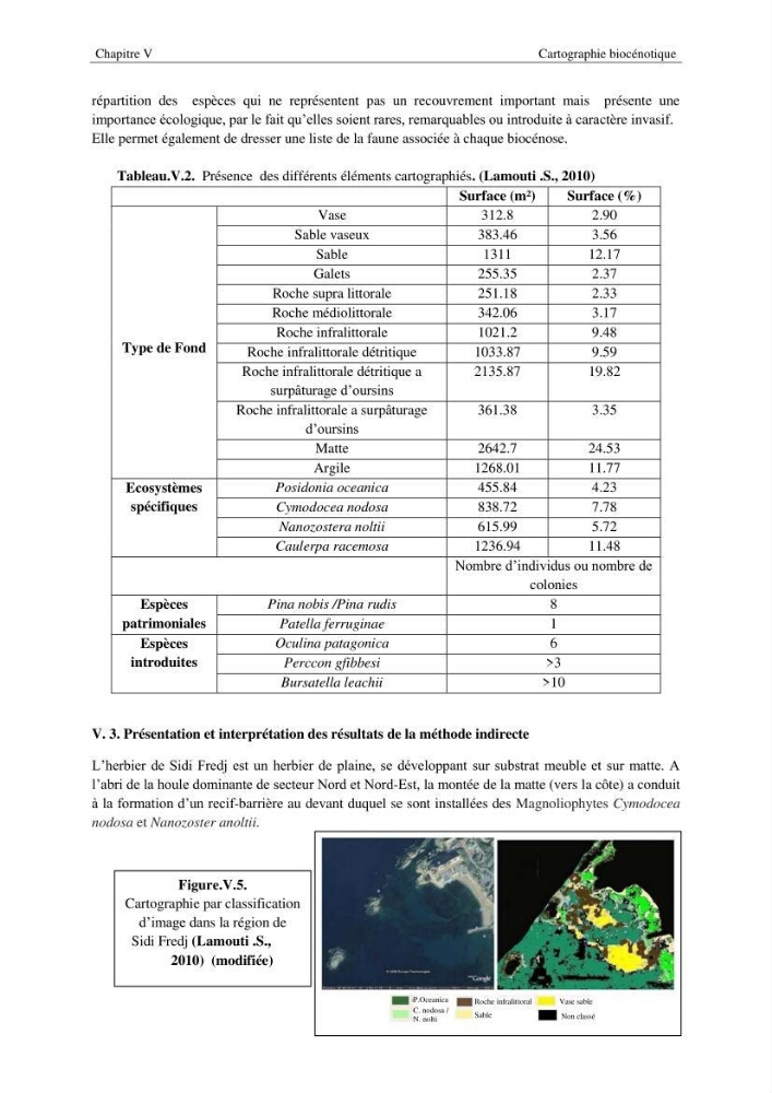 Diagnostic et paramètre environnementaux du littoral ouest de Sidi Fredj