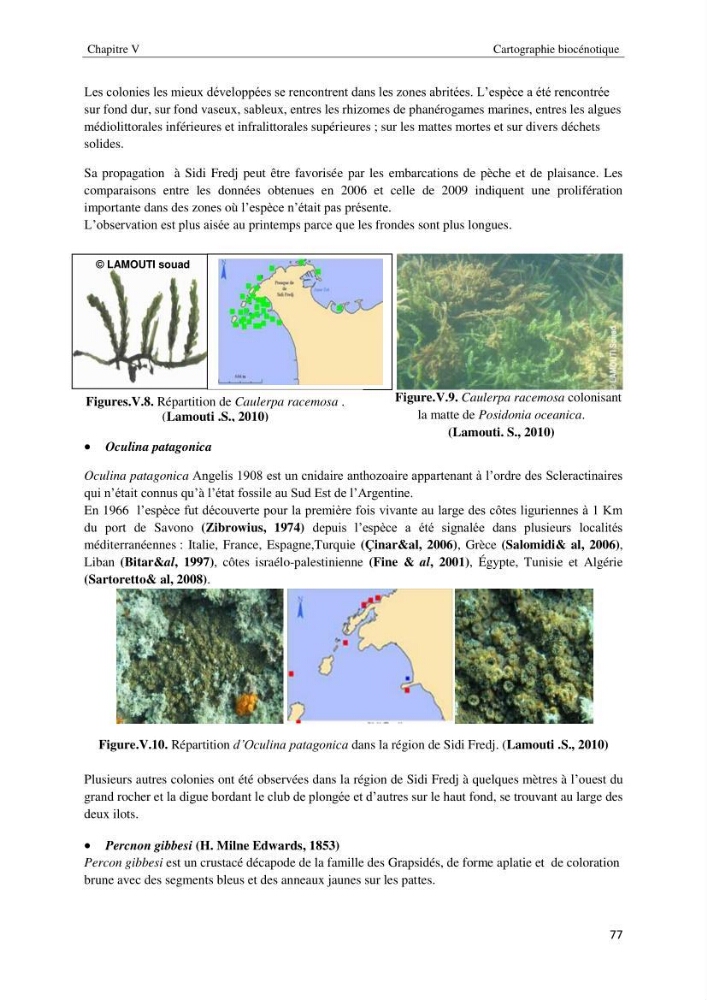 Diagnostic et paramètre environnementaux du littoral ouest de Sidi Fredj