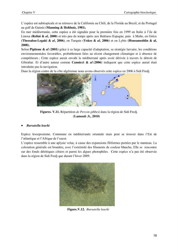Diagnostic et paramètre environnementaux du littoral ouest de Sidi Fredj