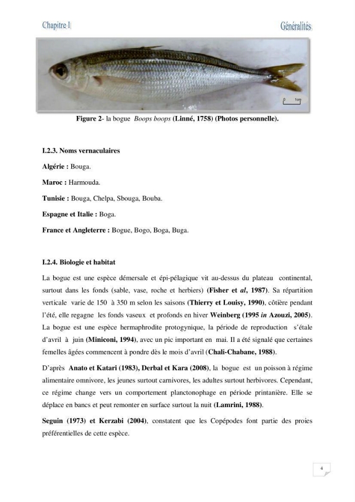 Impact de la variation du taux de mortalité totale (Z) sur l\'estimation de la biomasse exploitable de la bogue Boops boops (Linné, 1758) de la région centre de la côte algérienne