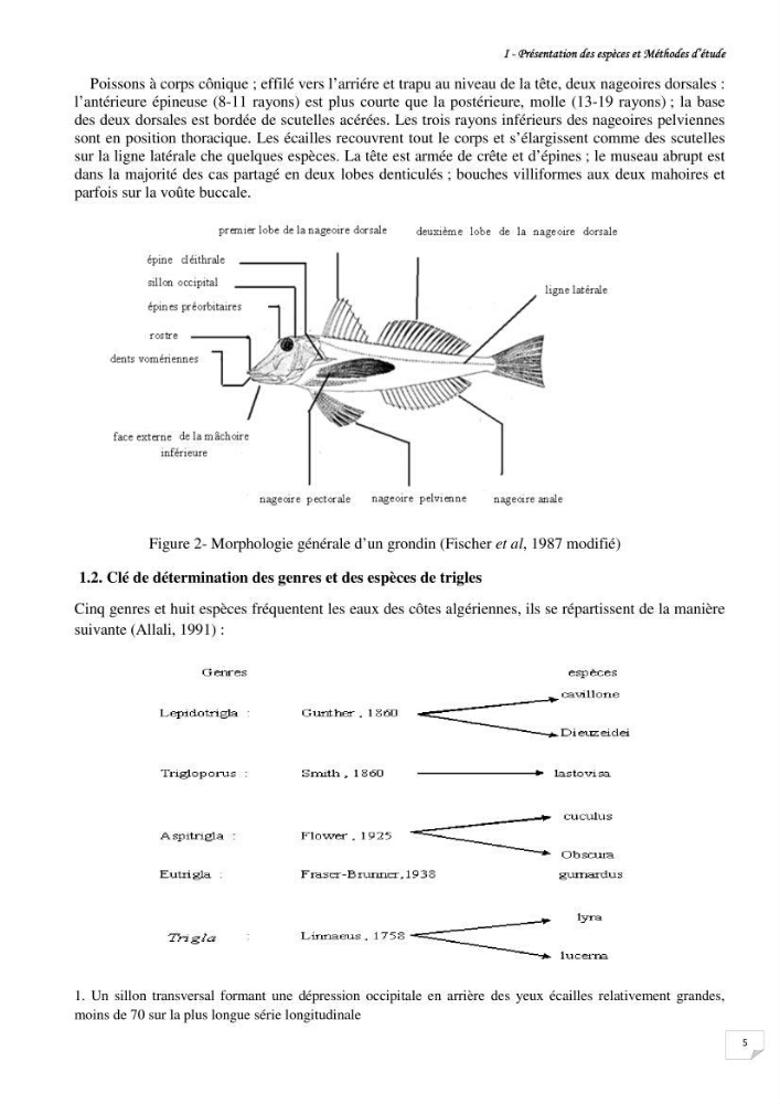 Contribution à la systématique des Triglidae (Osteichthyens, Scrpaeniformes) du bassin Algérien: