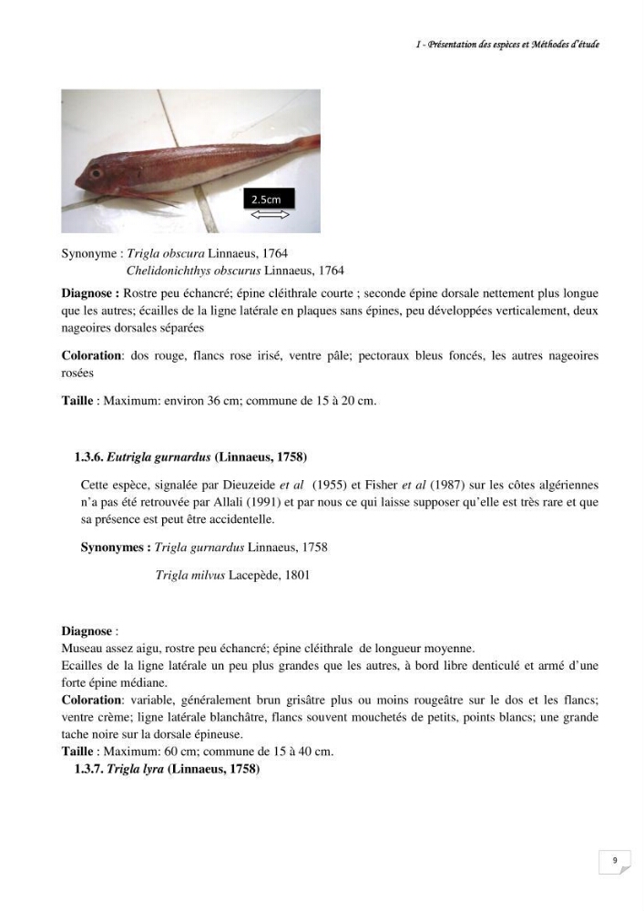 Contribution à la systématique des Triglidae (Osteichthyens, Scrpaeniformes) du bassin Algérien: