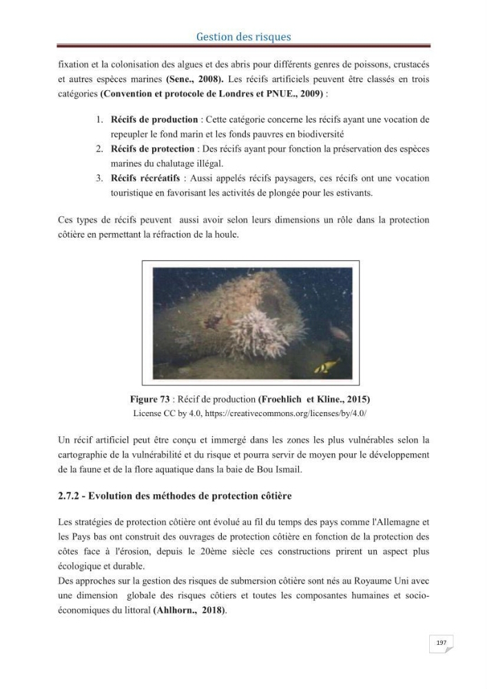 Indice de vulnérabilité et de risque côtier pour l\'évaluation du risque d\'érosin et de submerstion dans le littoral centre Algérien (cas de la baie de Bouismal )