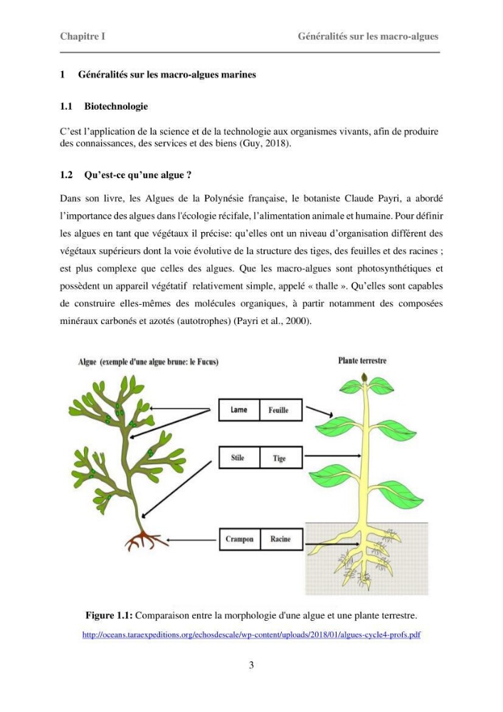 Inventaire préliminaire et caractérisation d’un échantillon d’espèces d’algues marines d’intérêt biotechnologique en Algérie.: