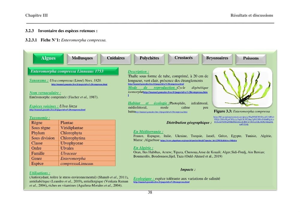 Inventaire préliminaire et caractérisation d’un échantillon d’espèces d’algues marines d’intérêt biotechnologique en Algérie.: