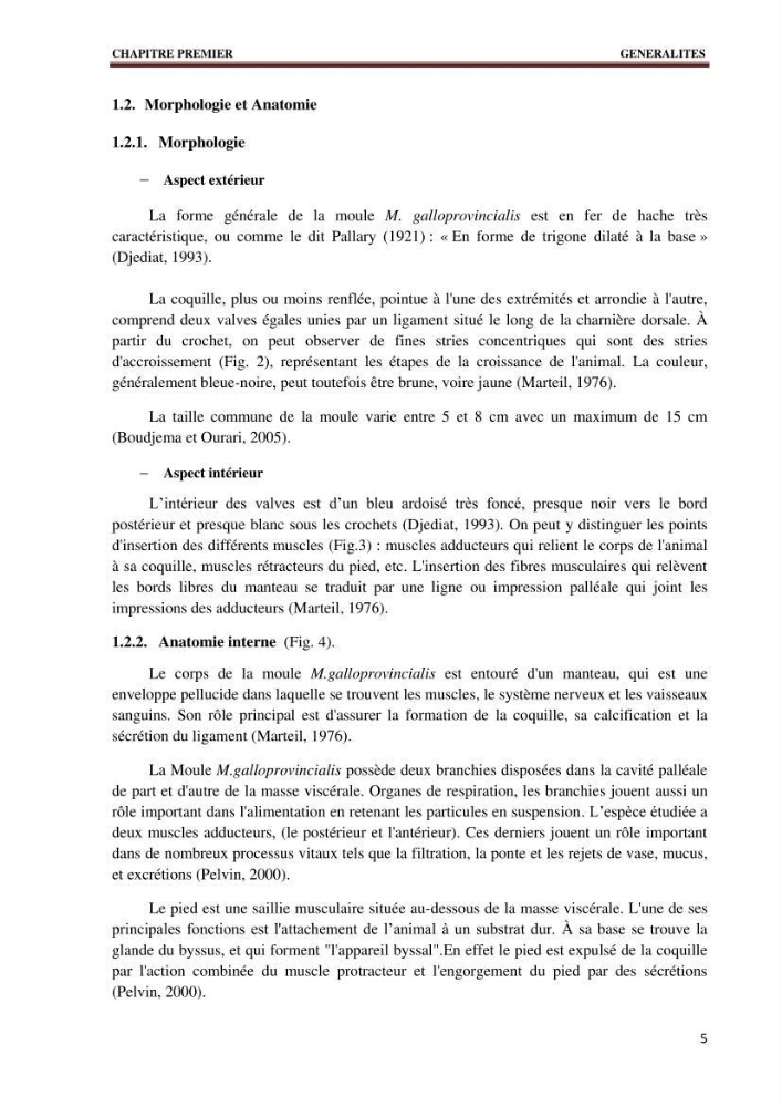 Quelques indices biologiques de Mytilus galloprovincialis (Lamarck, 1819), mollusque bivalve à potentialité mytilicole