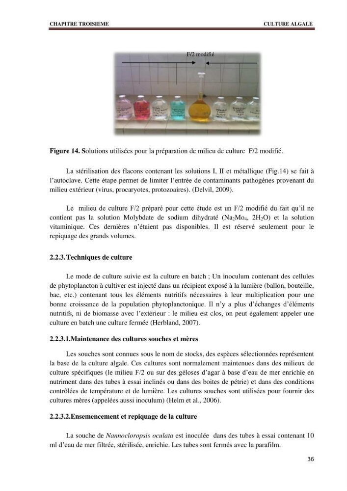 Quelques indices biologiques de Mytilus galloprovincialis (Lamarck, 1819), mollusque bivalve à potentialité mytilicole