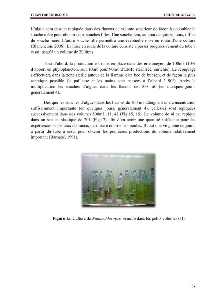 Quelques indices biologiques de Mytilus galloprovincialis (Lamarck, 1819), mollusque bivalve à potentialité mytilicole