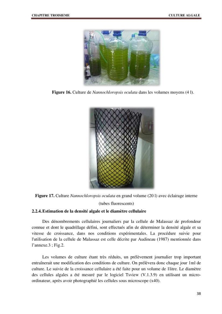 Quelques indices biologiques de Mytilus galloprovincialis (Lamarck, 1819), mollusque bivalve à potentialité mytilicole